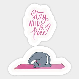 Yoga cat Sticker